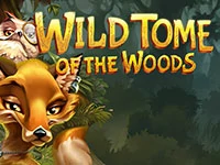 เกมสล็อต Wild Tome of the Woods